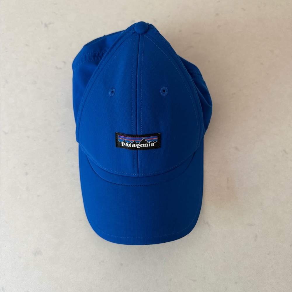 Patagonia Blue Airshed Cap